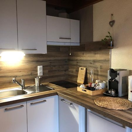 Duplex - Proche De Gerardmer Le Tholy Eksteriør bilde