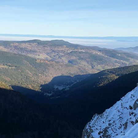 Duplex - Proche De Gerardmer Le Tholy Eksteriør bilde