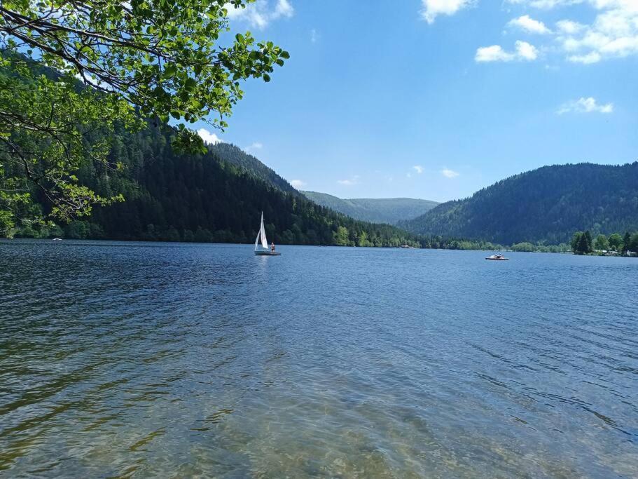 Duplex - Proche De Gerardmer Le Tholy Eksteriør bilde