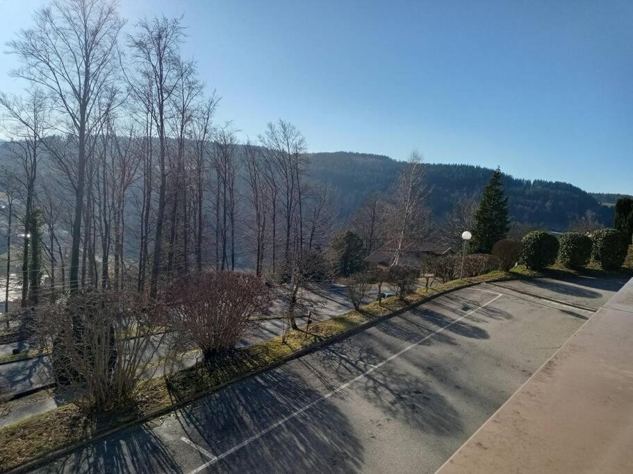 Duplex - Proche De Gerardmer Le Tholy Eksteriør bilde