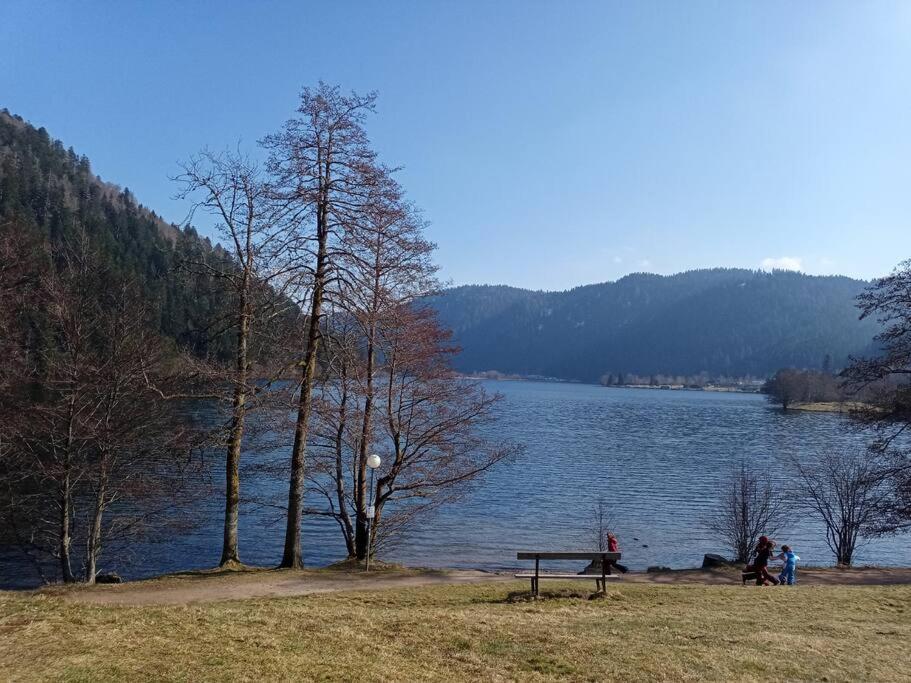 Duplex - Proche De Gerardmer Le Tholy Eksteriør bilde