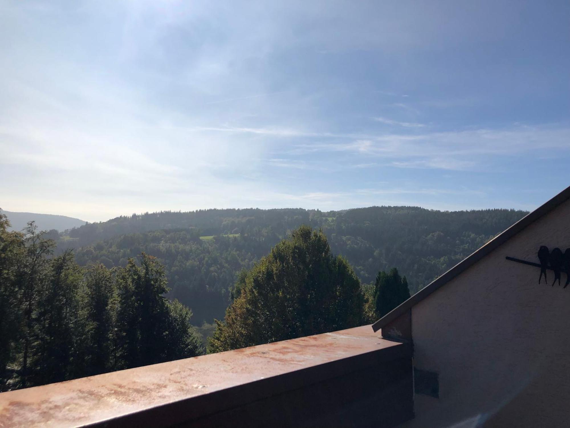 Duplex - Proche De Gerardmer Le Tholy Eksteriør bilde
