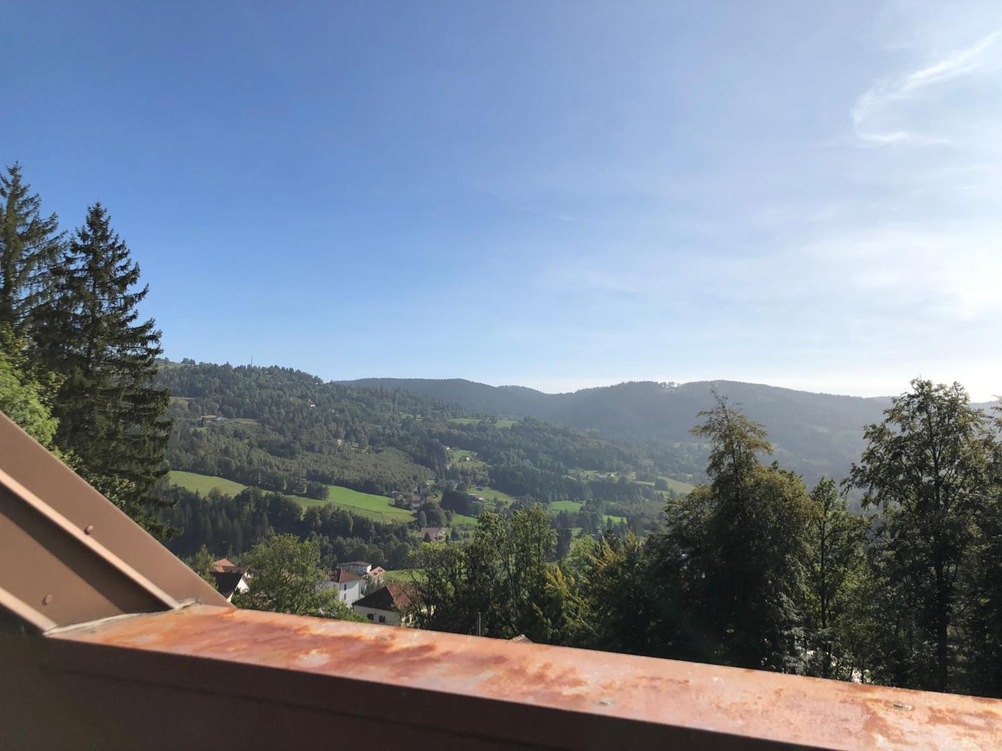 Duplex - Proche De Gerardmer Le Tholy Eksteriør bilde